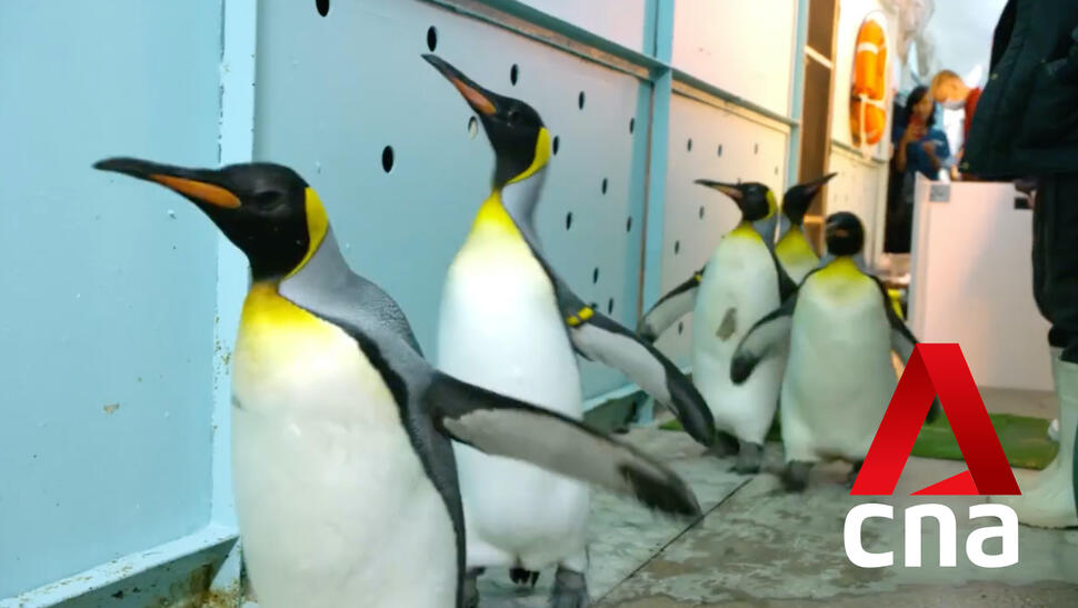 The Great Migration Teaser 2